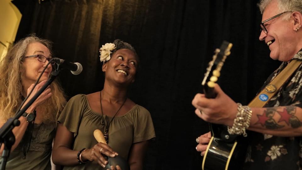 Robb Johnson Acoustic Irregulars